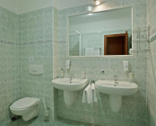 Clean, well-kept bathroom with shower, hairdryer and toilet. HotelWestend_Badezimmer